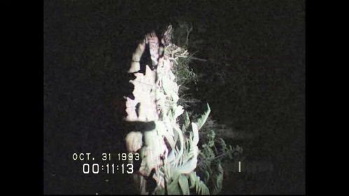 热门心理恐怖游戏盘点：精选惊悚佳作推荐