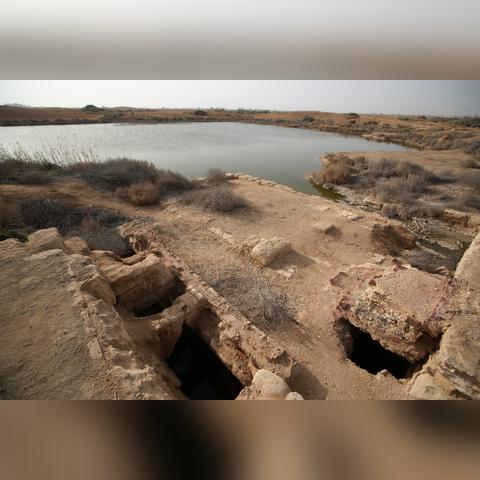 地下城堡3攻略：圣城修道院生存必胜法则揭秘