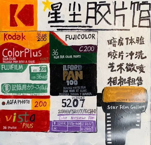 江珂寻宝记：揭秘奶牛镇钱包藏匿秘境