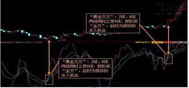 数独入门必看!掌握这些技巧,轻松成为数独达人 数独入门必看!掌握这些技巧,轻松成为数独达人