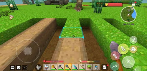 手工星球攻略：高效开垦荒地种植技巧揭秘