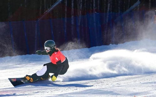 2024年度单板滑雪游戏盘点:揭秘热门新游,体验极致滑雪快感 2024年度单板滑雪游戏盘点:揭秘热门新游,体验极致滑雪快感