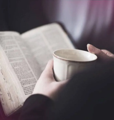 江湖读书技能快速升级秘诀，掌握这些技巧轻松突破瓶颈