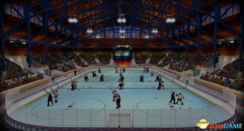 冰球游戏盘点:揭秘十大经典之作,哪款才是最佳选择? 冰球游戏盘点:揭秘十大经典之作,哪款才是最佳选择?