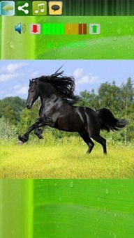 热门马匹游戏盘点：揭秘十大最受欢迎的赛马竞技盛宴