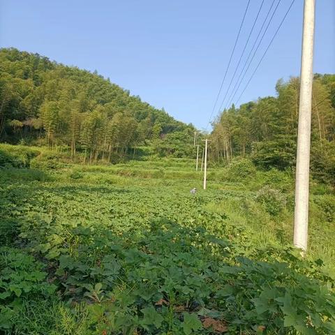 《漂流少女》开荒必备!独家攻略助你轻松闯关,告别新手困境 《漂流少女》开荒必备!独家攻略助你轻松闯关,告别新手困境