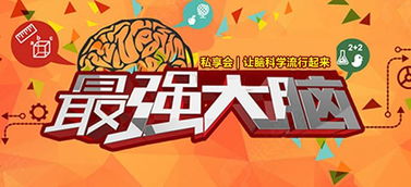 破解《最强大脑》羊羊大挑战189关：独门技巧助你脱颖而出