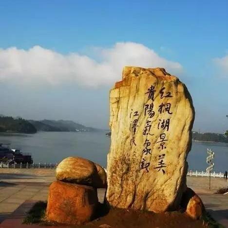 揭秘！最强大脑挑战第178关攻略：轻松找到隐藏星星技巧大公开