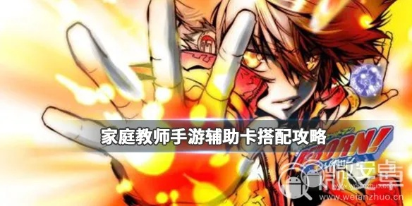 《家庭教师》手游泽田纲吉技能卡搭配攻略，助你轻松升级！
