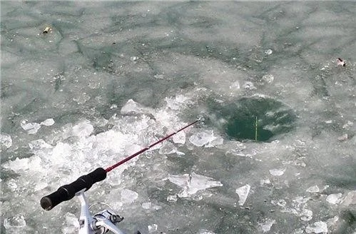 冰钓大师速成攻略：新手必看高效钓鱼技巧揭秘