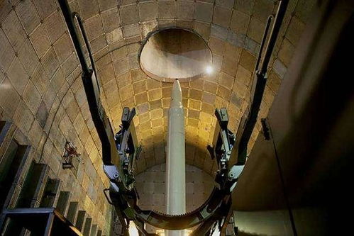 萨伊尔绞肉机武器解析：揭秘异化之地最强输出利器