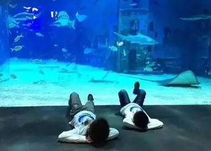 水底游戏盘点：热门推荐，探索水下世界最佳体验