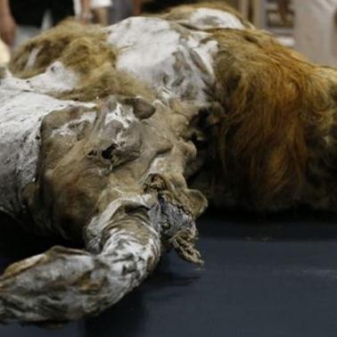 重生细胞墓地攻略：高效通关秘籍，解锁隐藏宝藏