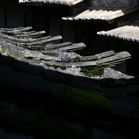 黑暗城堡攻略：轻松击败巨型蜘蛛，掌握必胜技巧