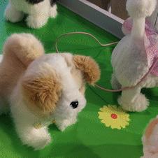 布偶动物餐厅揭秘：独家高价位菜谱攻略指南