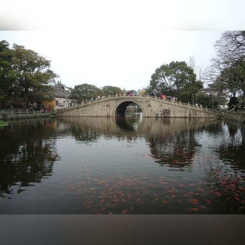 梦幻西游三维版普陀宠物攻略：普陀山最佳宠物推荐，提升战斗力！