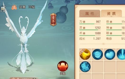 梦幻西游三维版宝宝技能书获取攻略：高效秘籍大揭秘