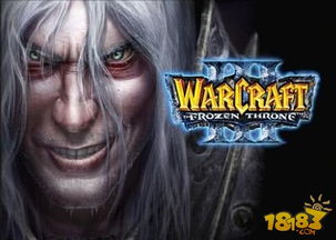 十大耐玩单机多人游戏盘点：揭秘玩家心中的经典之作