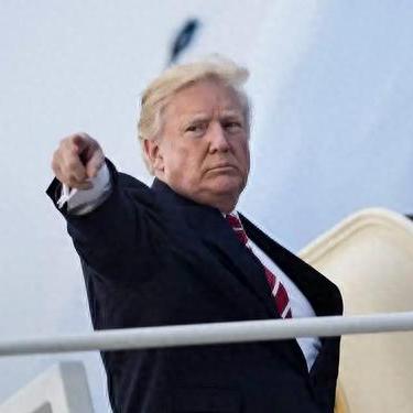 2024年热门狐狸游戏盘点：精选推荐，不容错过！