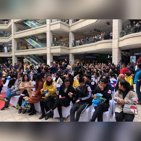 热门派对游戏盘点：揭秘人气排行榜前十强，畅玩必备攻略！