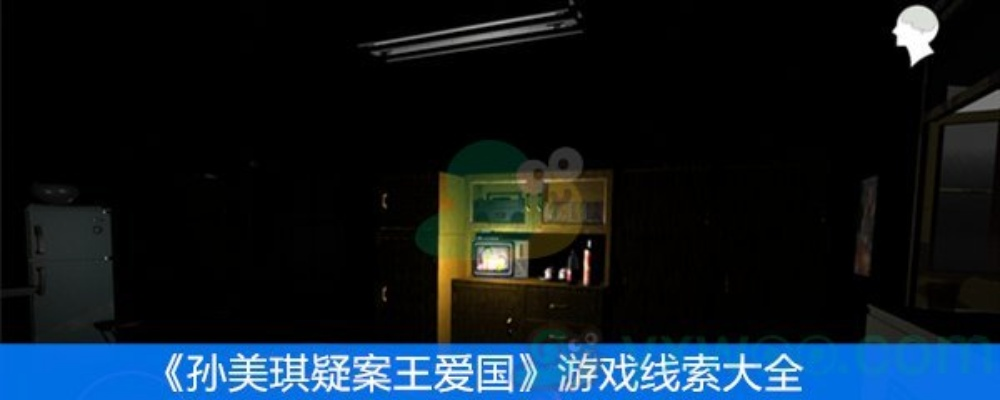 孙美琪疑案手游揭秘：王爱国偷电线索全解析攻略