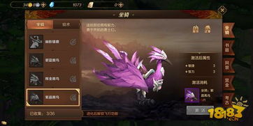 启源女神安琪儿技能详解攻略，轻松获取方法大揭秘