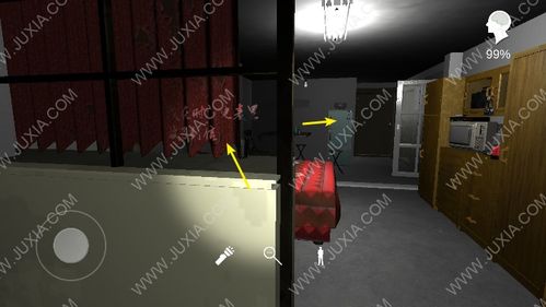 孙美琪疑案手游：揭秘冰箱线索，解锁神秘位置攻略！