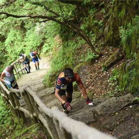 新倚天屠龙记光明顶帮战攻略:高效策略助你轻松登顶 新倚天屠龙记光明顶帮战攻略:高效策略助你轻松登顶