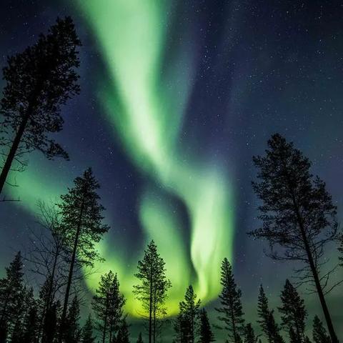 迷宫欧若拉邂逅英雄技能图鉴获取攻略，轻松解锁秘籍技巧！