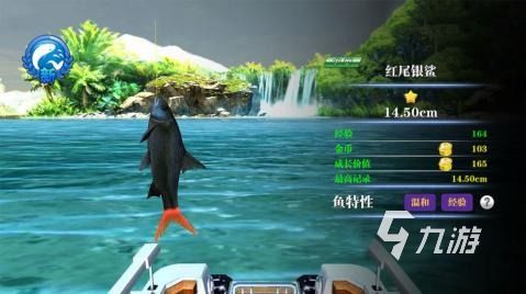 钓鱼游戏推荐：热门精选盘点，解锁最佳游戏体验