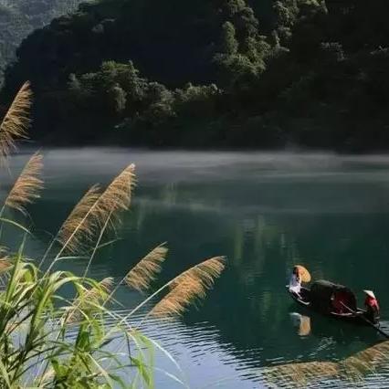 烟雨江湖逐月枪法秘籍获取攻略，揭秘绝技出处与伤害解析
