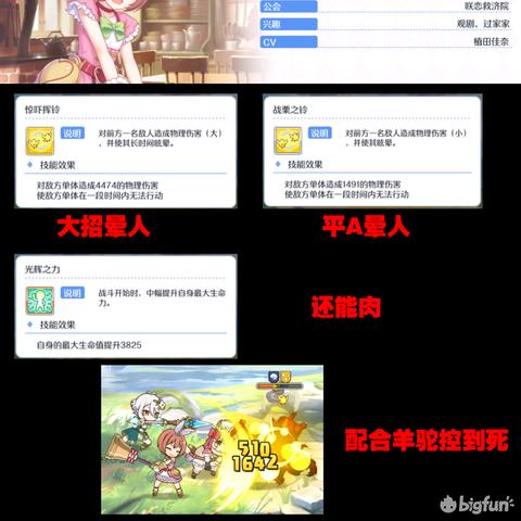 公主连结圣诞胡桃角色深度解析：技能属性全揭秘，攻略必备！