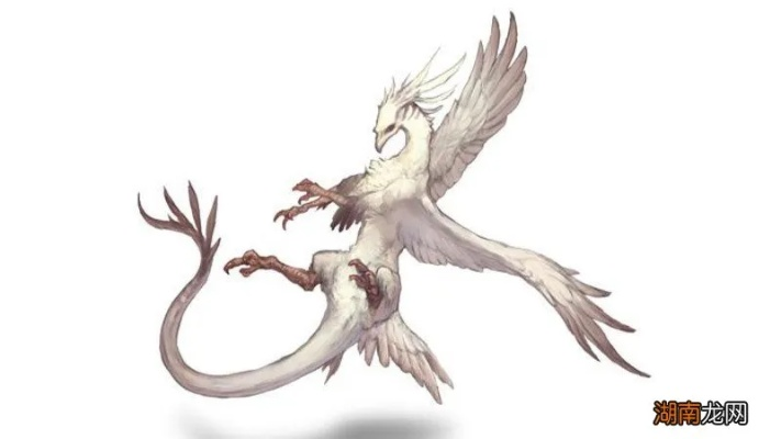 变异枭羽龙宠物属性解析+刷新点攻略，助你轻松捕捉！