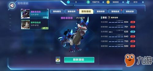 枭羽龙宠物属性揭秘：起源之地刷新攻略全解析