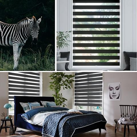 起源斑马乐园活动攻略：快速出口方法揭秘，轻松畅玩新体验