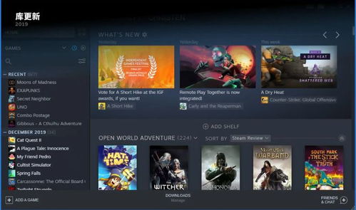 2024年度猫游戏精选:独家推荐,畅玩必备攻略 2024年度猫游戏精选:独家推荐,畅玩必备攻略