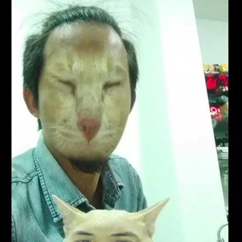 十大猫游戏盘点:揭秘玩家必玩猫类游戏精选推荐 十大猫游戏盘点:揭秘玩家必玩猫类游戏精选推荐