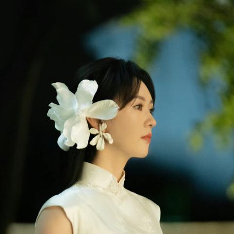 功夫特牛技能攻略：独家秘籍精选，助你轻松上分！