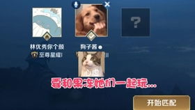 小森灵攻略：狗哥商店必胜秘籍大揭秘