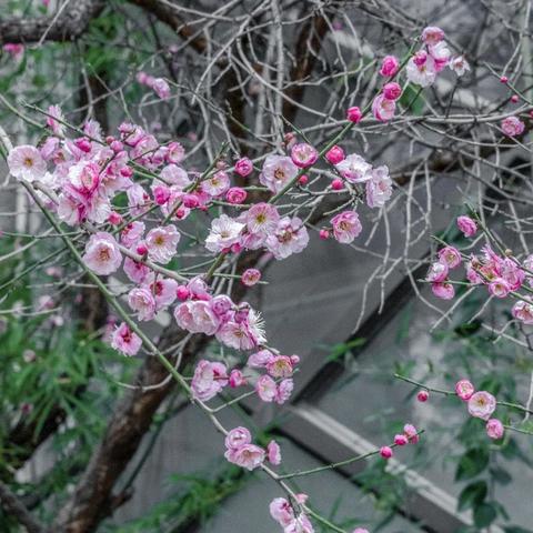 《鲜艳游戏下载》盘点：十大热门必玩游戏推荐，解锁全新游戏体验