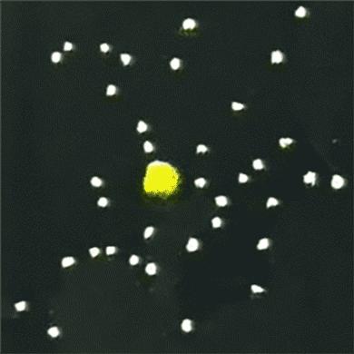 神脑洞游戏第13关攻略：独家通关秘籍，轻松解锁隐藏技巧