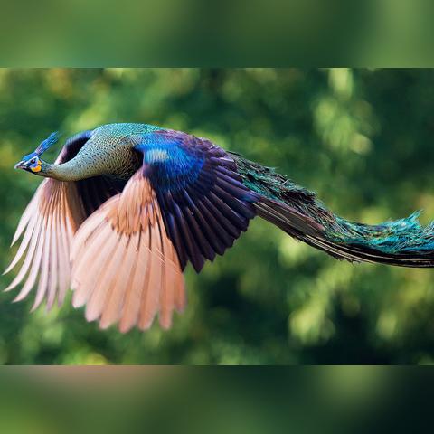 十大热门耐玩滑行游戏推荐：揭秘最受欢迎的极限飞行体验