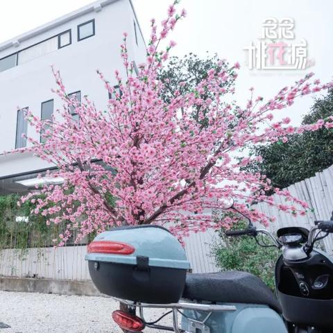 治愈游戏盘点：热门排行揭示最佳疗愈选择