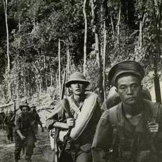 最佳疫病模拟游戏盘点：揭秘高人气疫病爆发游戏排行！