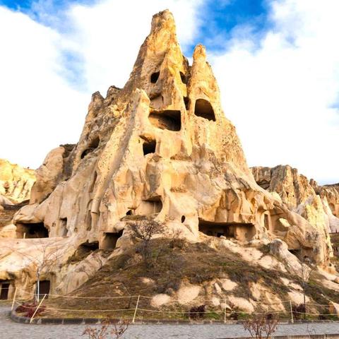 夕阳热气球达芬奇技能解析：揭秘达芬奇独特属性与战斗优势