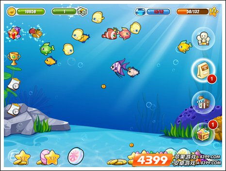 天使救援，水族箱狂欢：揭秘开心水族箱独特魅力