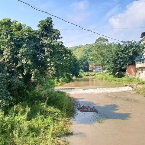 江湖悠悠小狗亲密提升攻略：快速提升NPC好感度的秘诀