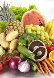 食物语钓鱼高招揭秘：掌握技巧轻松捕获珍稀食材