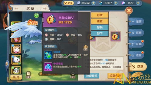 云上城之歌宠物纹章技能攻略：解锁最强搭配秘籍