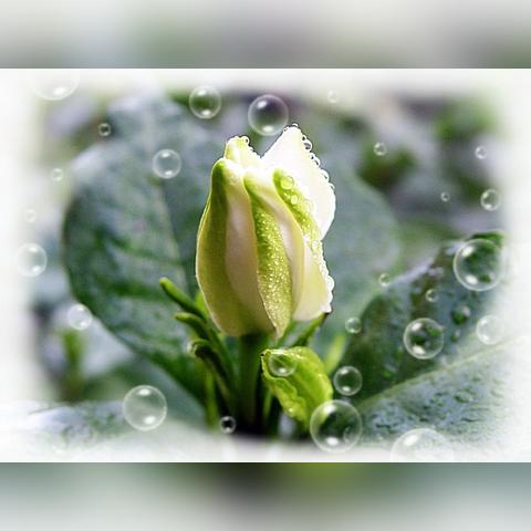 《活下去》全版本攻略揭秘：掌握生存技巧，解锁游戏新境界